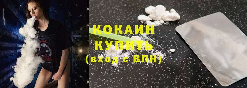 COCAIN Fish Scale  где можно купить   Кологрив 